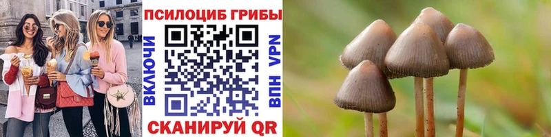 продажа наркотиков  Ессентукская  Псилоцибиновые грибы MAGIC MUSHROOMS 